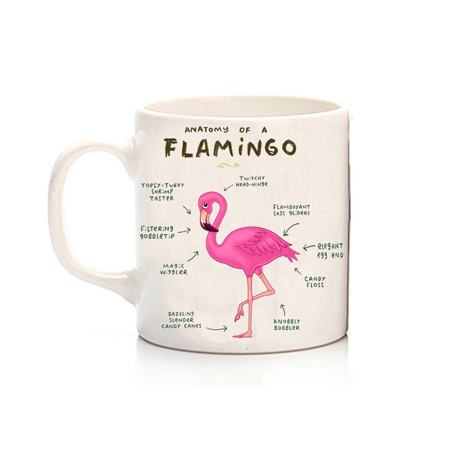 Anatomy Of A Flamingo  Kupa
