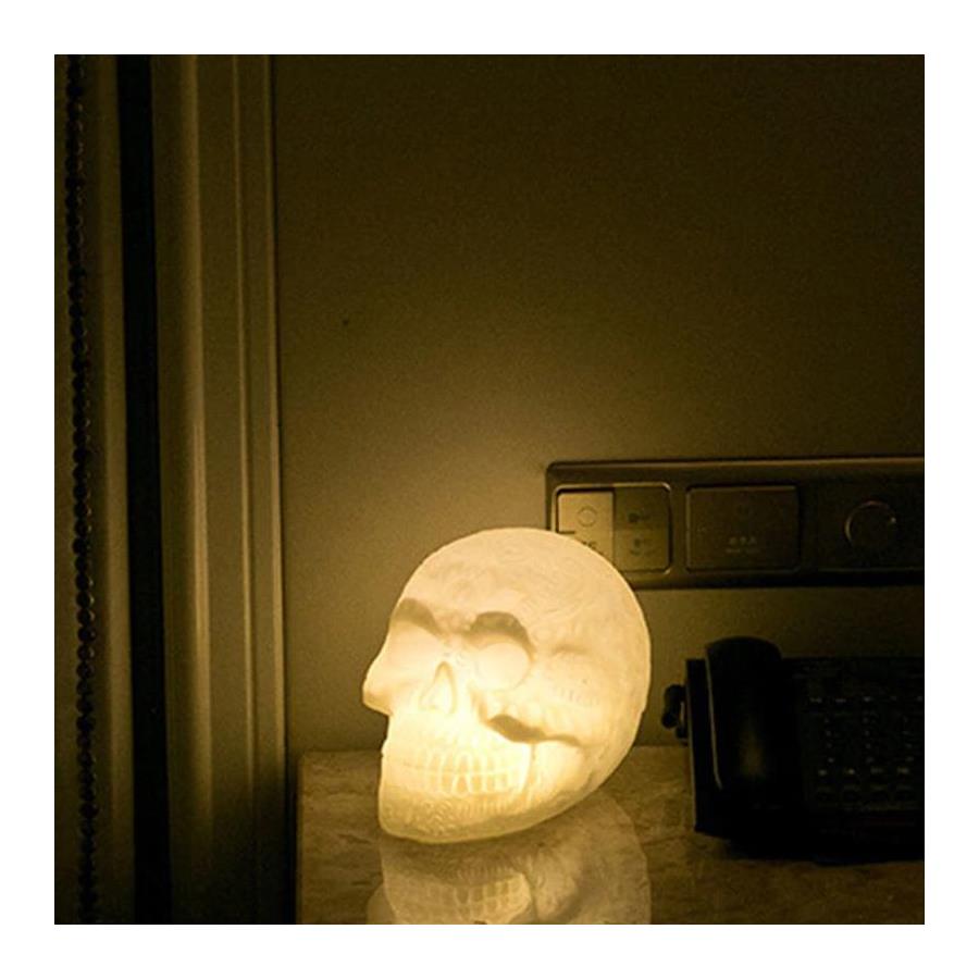 Skull 3D Led Gece Lambası