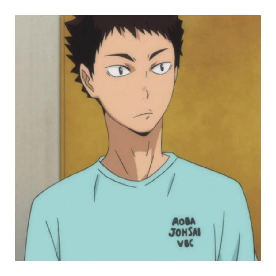 Anime Haikyuu- Aoba Johsai High School Unisex T-Shirt