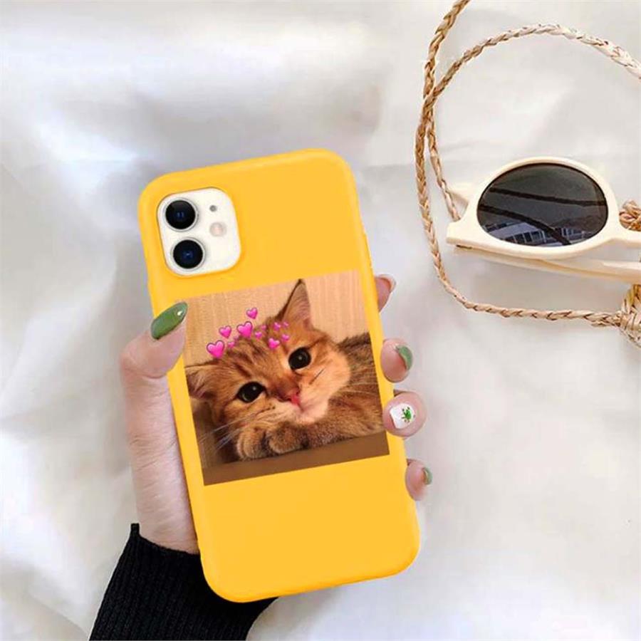 Sarı Cute Cat Iphone Telefon Kılıfları